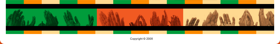 Bottom Banner Copyright 2008